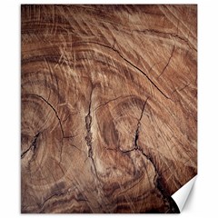 Brown Close Up Hd Wallpaper Surface Canvas 8  X 10  by artworkshop