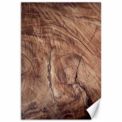 Brown Close Up Hd Wallpaper Surface Canvas 12  X 18  by artworkshop