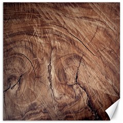 Brown Close Up Hd Wallpaper Surface Canvas 16  X 16  by artworkshop