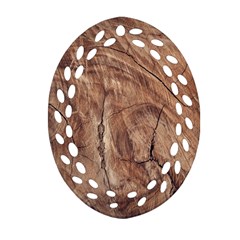 Brown Close Up Hd Wallpaper Surface Ornament (oval Filigree) by artworkshop