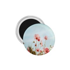 Cosmos Flower Blossom In Garden 1 75  Magnets by artworkshop