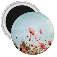 Cosmos Flower Blossom In Garden 3  Magnets by artworkshop