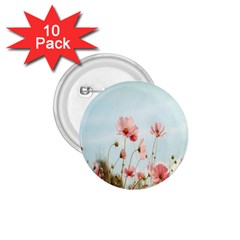 Cosmos Flower Blossom In Garden 1 75  Buttons (10 Pack) by artworkshop