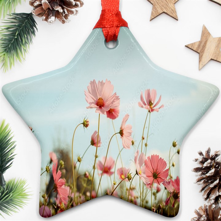 Cosmos Flower Blossom In Garden Ornament (Star)