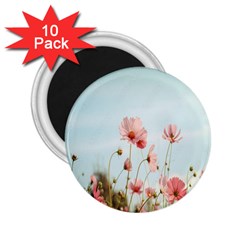 Cosmos Flower Blossom In Garden 2 25  Magnets (10 Pack)  by artworkshop