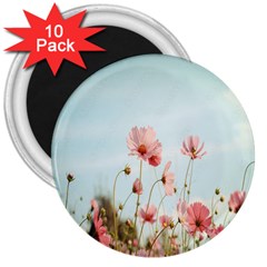 Cosmos Flower Blossom In Garden 3  Magnets (10 Pack)  by artworkshop