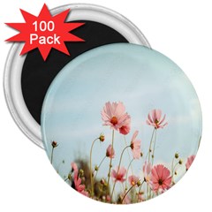 Cosmos Flower Blossom In Garden 3  Magnets (100 Pack) by artworkshop