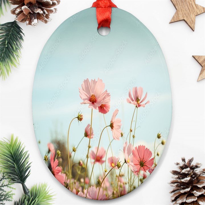 Cosmos Flower Blossom In Garden Ornament (Oval)