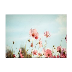 Cosmos Flower Blossom In Garden Sticker A4 (10 Pack) by artworkshop