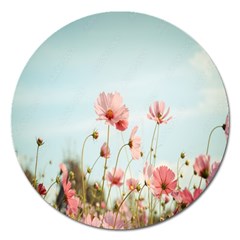 Cosmos Flower Blossom In Garden Magnet 5  (round) by artworkshop