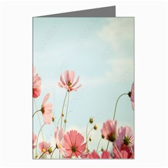 Cosmos Flower Blossom In Garden Greeting Cards (pkg Of 8) by artworkshop