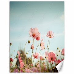 Cosmos Flower Blossom In Garden Canvas 12  X 16  by artworkshop