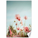 Cosmos Flower Blossom In Garden Canvas 12  x 18  11.88 x17.36  Canvas - 1