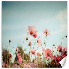 Cosmos Flower Blossom In Garden Canvas 20  X 20  by artworkshop