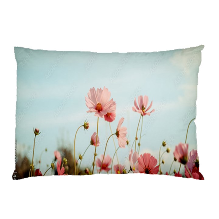 Cosmos Flower Blossom In Garden Pillow Case