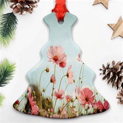 Cosmos Flower Blossom In Garden Christmas Tree Ornament (two Sides) by artworkshop