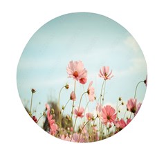 Cosmos Flower Blossom In Garden Mini Round Pill Box