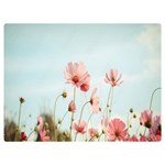 Cosmos Flower Blossom In Garden Premium Plush Fleece Blanket (Extra Small) 40 x30  Blanket Back