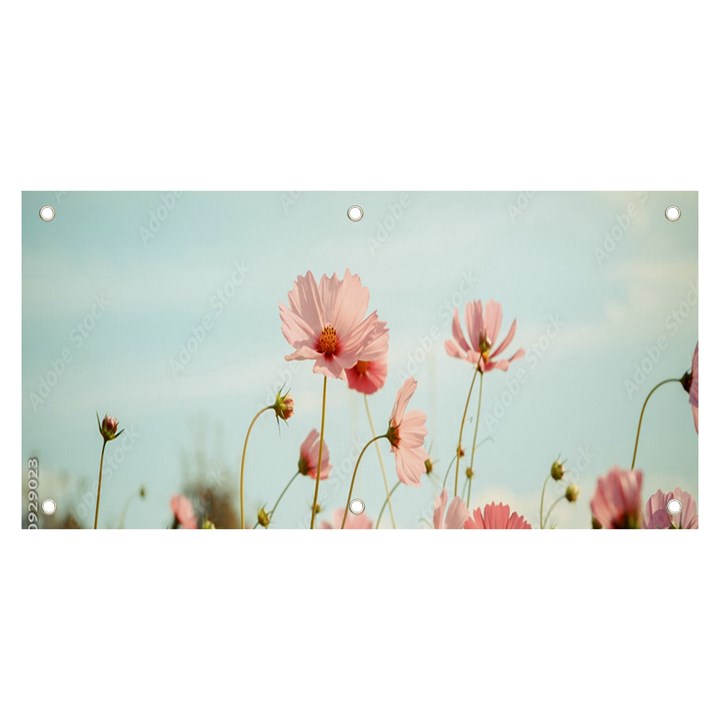 Cosmos Flower Blossom In Garden Banner and Sign 6  x 3 