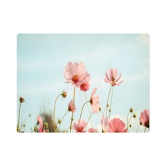 Cosmos Flower Blossom In Garden One Side Premium Plush Fleece Blanket (mini) by artworkshop