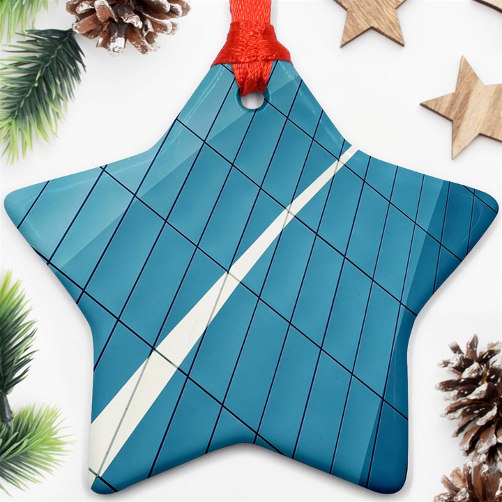 Design texture Star Ornament (Two Sides)