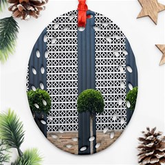 Exterior Building Pattern Ornament (oval Filigree) by artworkshop