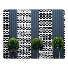 Exterior Building Pattern Premium Plush Fleece Blanket (large)