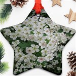 Exterior building pattern Star Ornament (Two Sides) Front