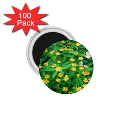 Flower Plant Spring 1 75  Magnets (100 Pack)  by artworkshop