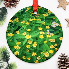 Flower Plant Spring Ornament (round) by artworkshop