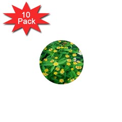 Flower Plant Spring 1  Mini Magnet (10 Pack)  by artworkshop