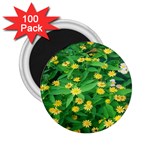 Flower Plant Spring 2.25  Magnets (100 pack)  Front