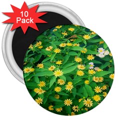 Flower Plant Spring 3  Magnets (10 Pack)  by artworkshop