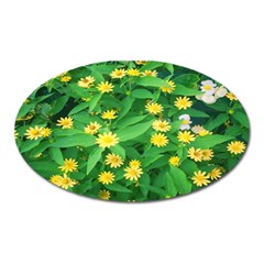 Flower Plant Spring Oval Magnet by artworkshop