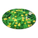 Flower Plant Spring Oval Magnet Front