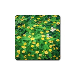 Flower Plant Spring Square Magnet by artworkshop