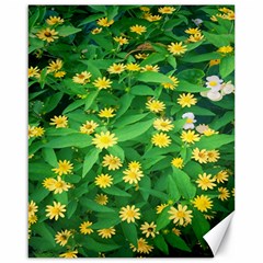 Flower Plant Spring Canvas 16  X 20  by artworkshop