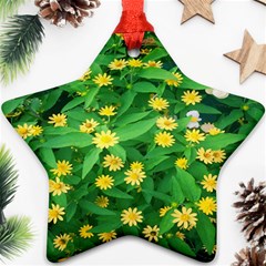 Flower Plant Spring Star Ornament (two Sides) by artworkshop