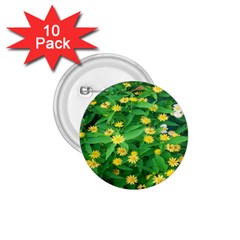 Flower Plant Spring 1 75  Buttons (10 Pack) by artworkshop