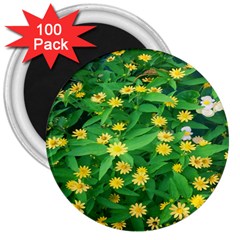 Flower Plant Spring 3  Magnets (100 Pack) by artworkshop