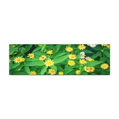 Flower Plant Spring Sticker (bumper) by artworkshop