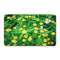 Flower Plant Spring Magnet (rectangular) by artworkshop