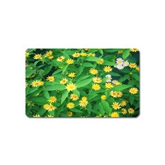 Flower Plant Spring Magnet (name Card)