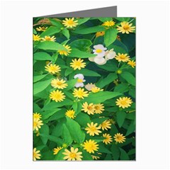 Flower Plant Spring Greeting Cards (pkg Of 8) by artworkshop