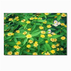 Flower Plant Spring Postcard 4 x 6  (pkg Of 10) by artworkshop