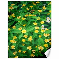 Flower Plant Spring Canvas 36  X 48 