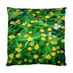 Flower Plant Spring Standard Cushion Case (two Sides) by artworkshop