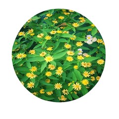 Flower Plant Spring Mini Round Pill Box (pack Of 5) by artworkshop