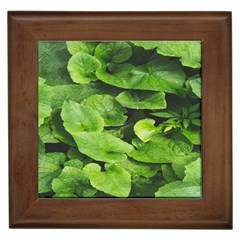 Layered Plant Leaves Iphone Wallpaper Framed Tile by artworkshop