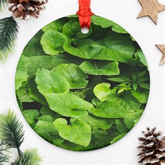 Layered Plant Leaves Iphone Wallpaper Ornament (round) by artworkshop